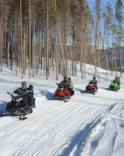 Snowmobilers riding their sleds along a groomed path